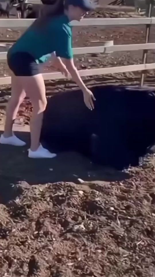 TikTok video thumbnail by toros.impactototal