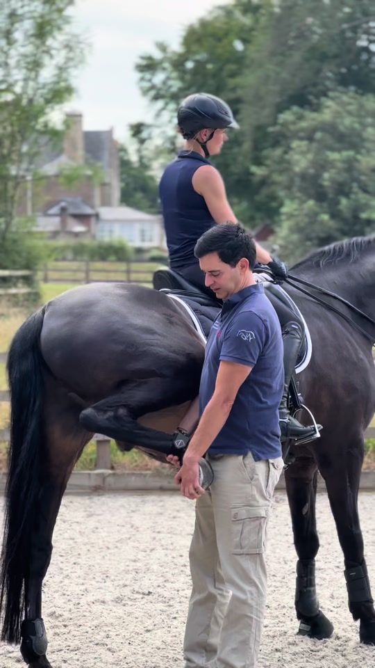 TikTok video thumbnail by equine_vet_performance