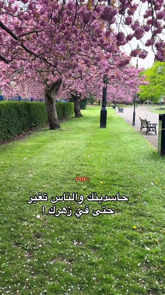 TikTok video thumbnail by hamzaboulainine21
