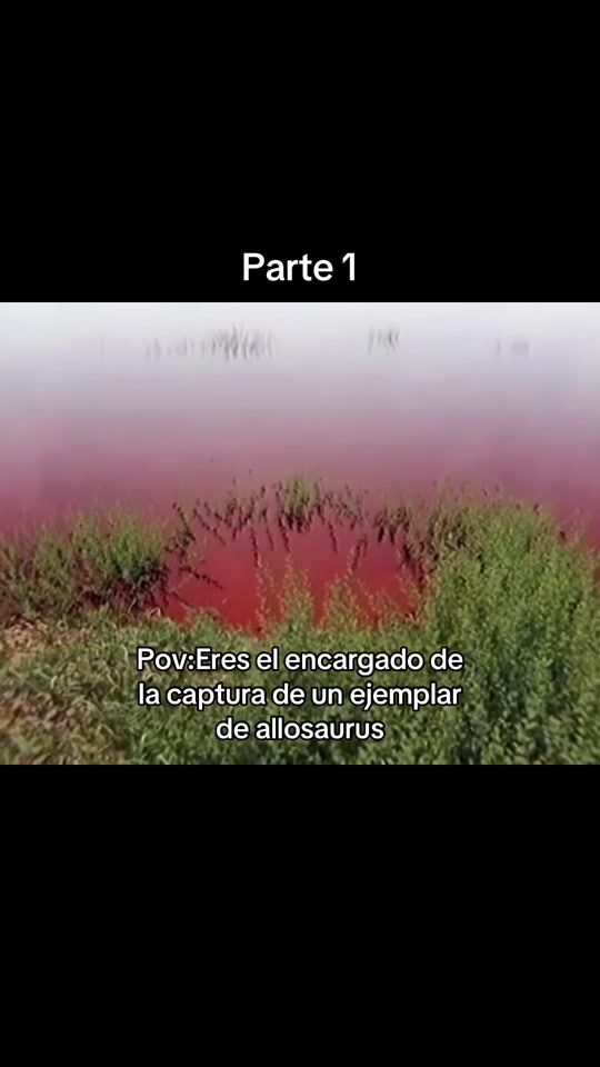 TikTok video thumbnail by spinodata_