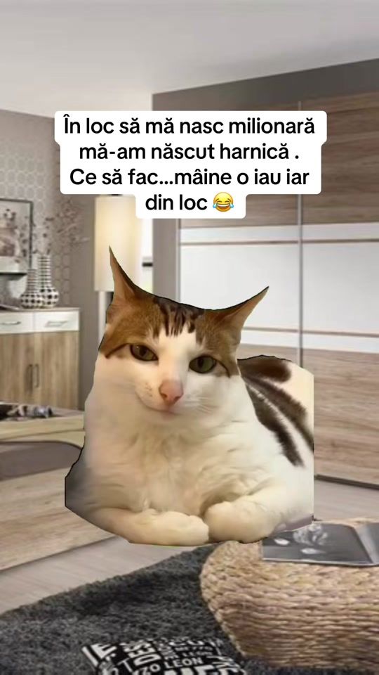TikTok video thumbnail by miha.ella167