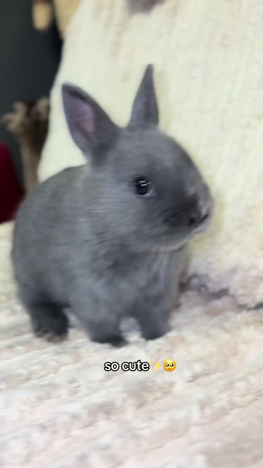 TikTok video thumbnail by ___.axlxexax.__