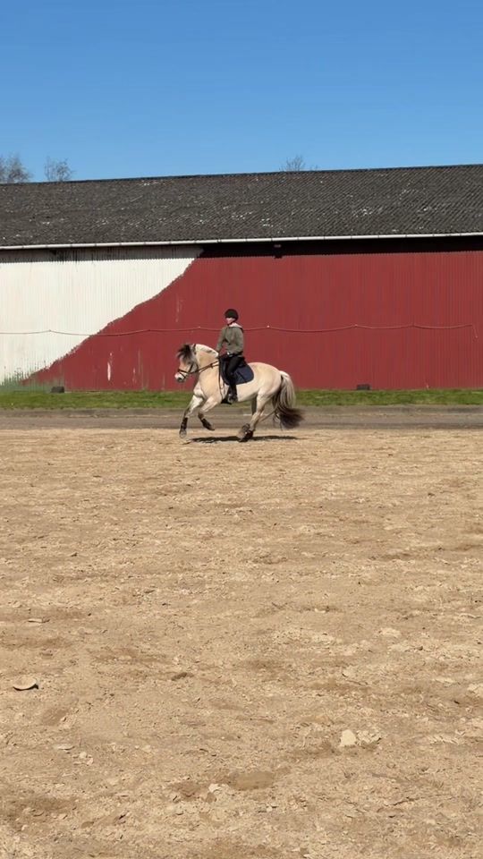 TikTok video thumbnail by millejoergensen