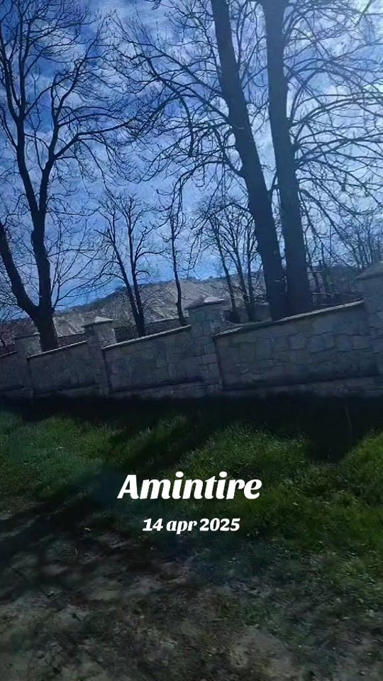 TikTok video thumbnail by laura24.g