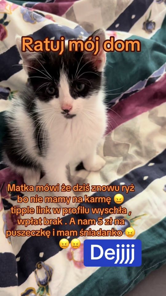 TikTok video thumbnail by bezimiennii