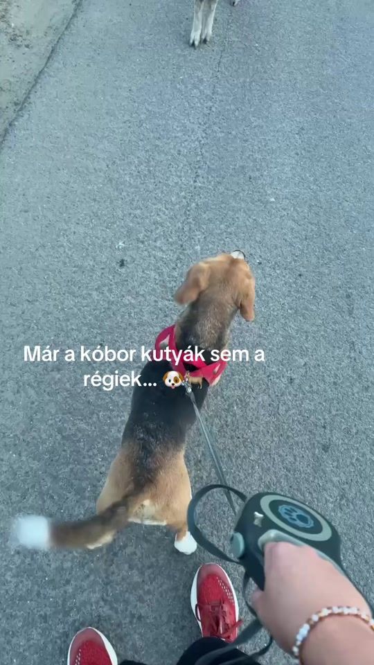 TikTok video thumbnail by k.blanka.barbara