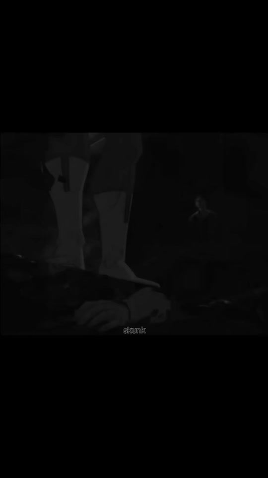TikTok video thumbnail by skunk_edit