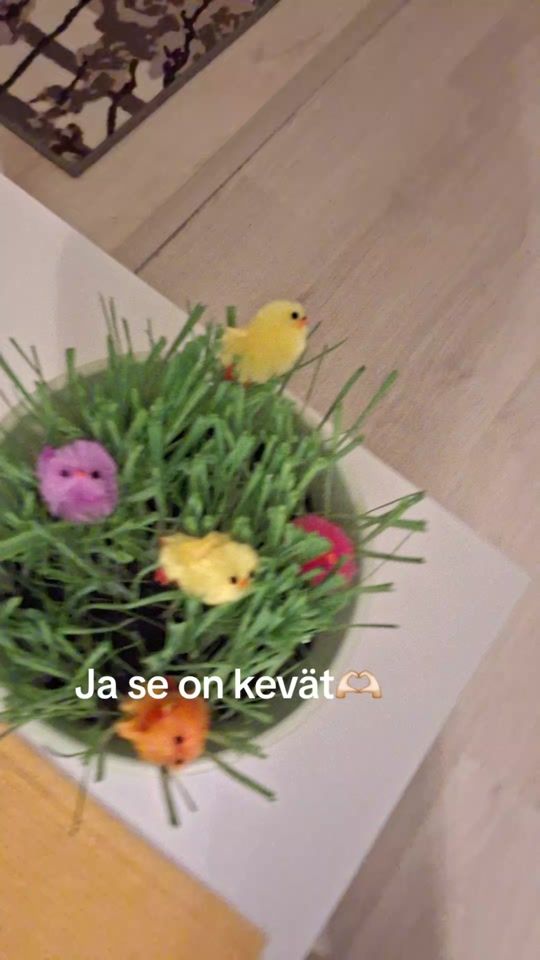 TikTok video thumbnail by oonaofficial_