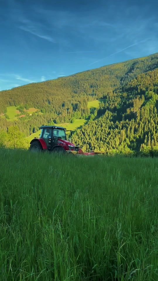 TikTok video thumbnail by julian_fuchs7