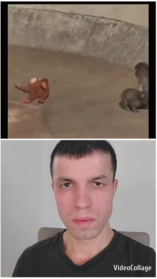 TikTok video thumbnail by tottishah19