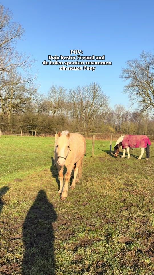 TikTok video thumbnail by missbbaileys