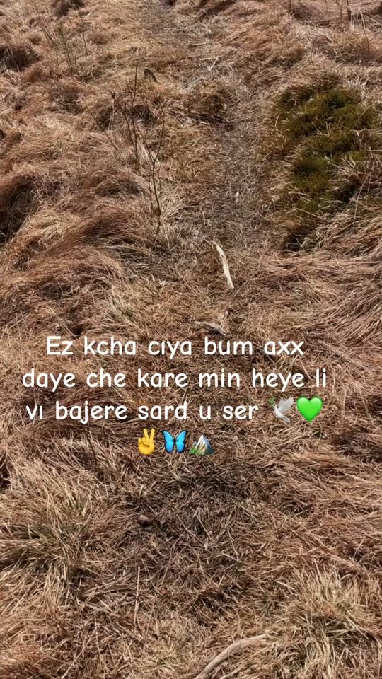 TikTok video thumbnail by shervan.1
