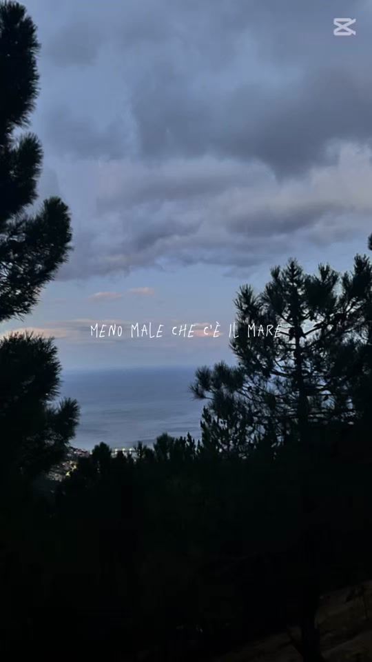 TikTok video thumbnail by barbara.mussinu