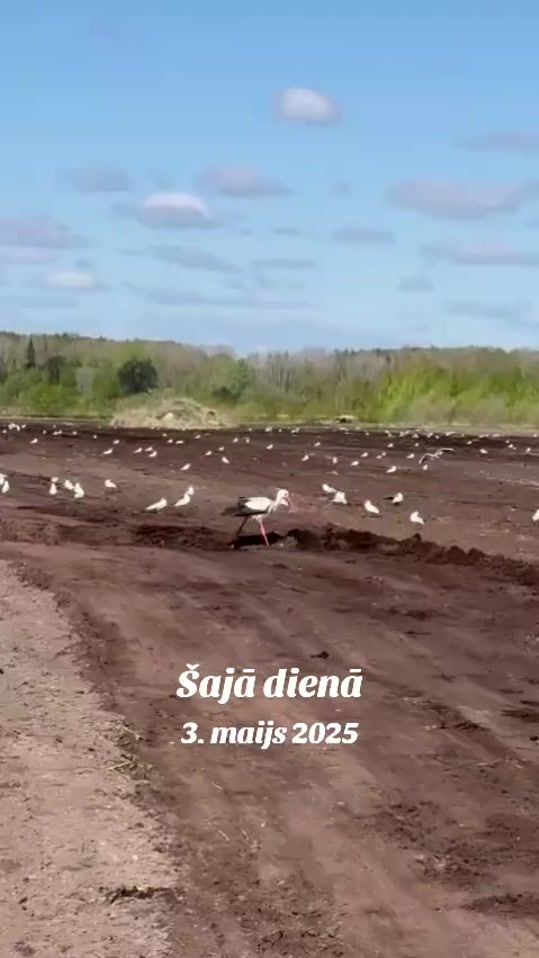 TikTok video thumbnail by inarchiks67
