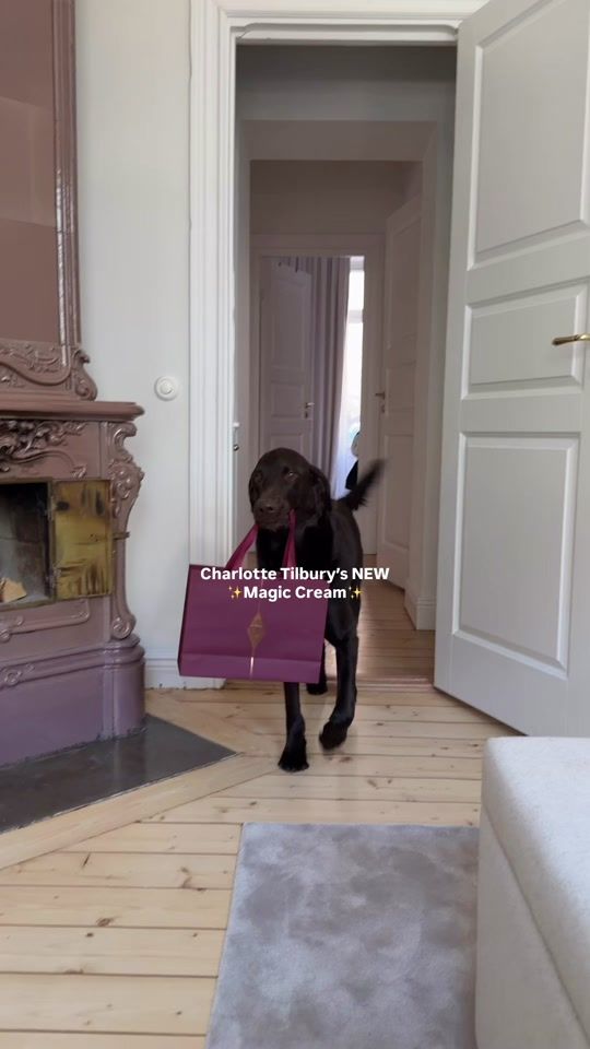 TikTok video thumbnail by rebecca.lindbergh