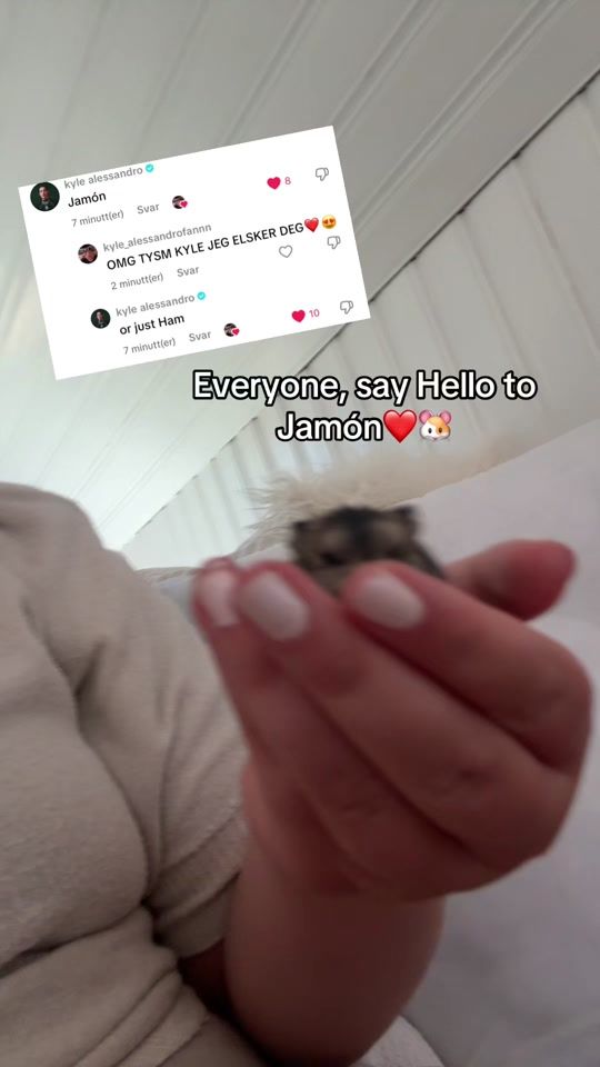 TikTok video thumbnail by ada_kylefan