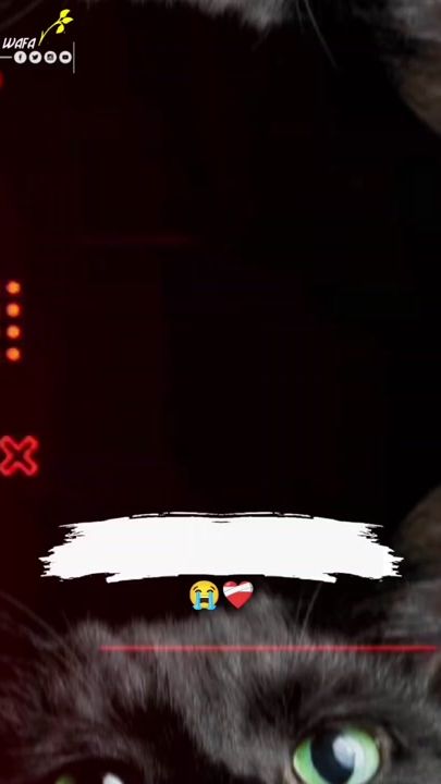TikTok video thumbnail by aslaam157