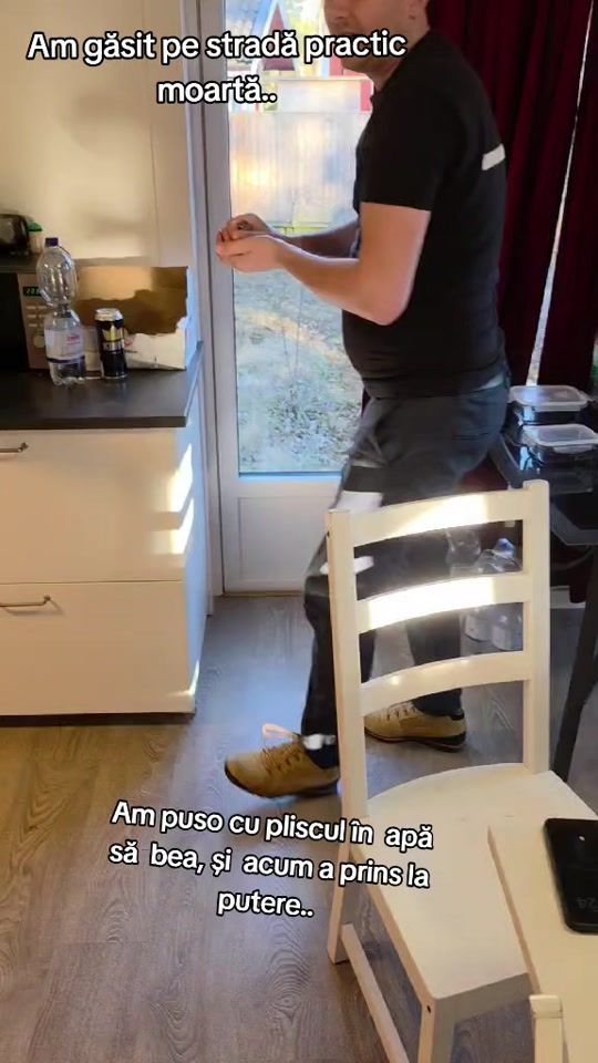 TikTok video thumbnail by lupu.petru4565