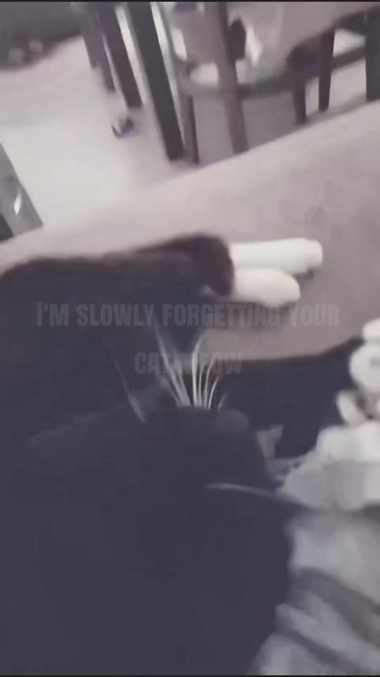 TikTok video thumbnail by rusn.x