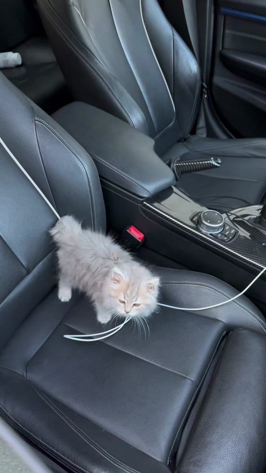 TikTok video thumbnail by 10besi