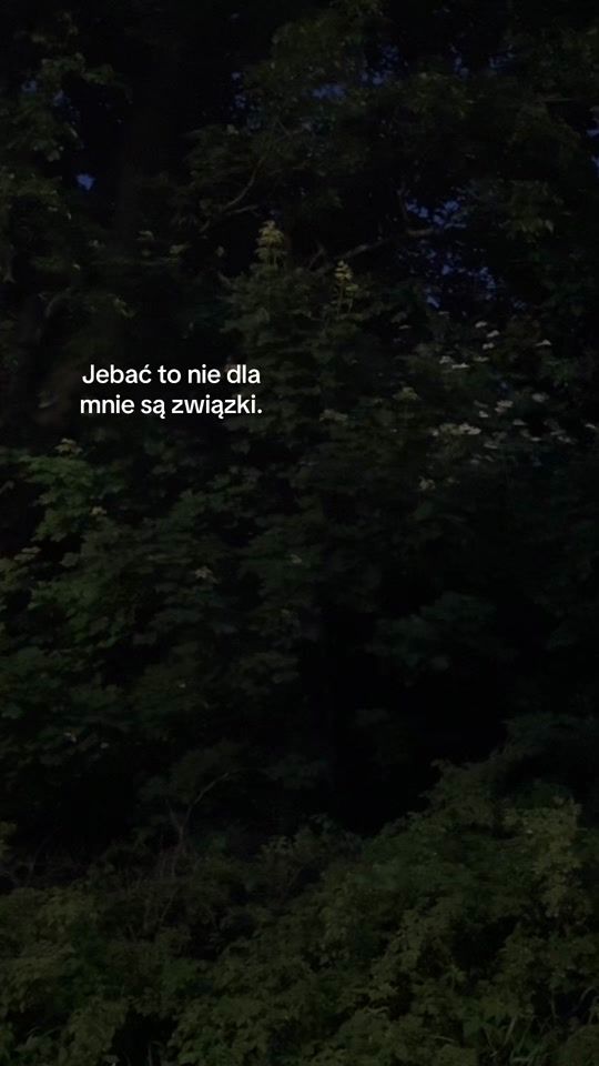 TikTok video thumbnail by bdjxysb