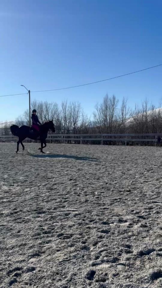 TikTok video thumbnail by tarasandsdalen