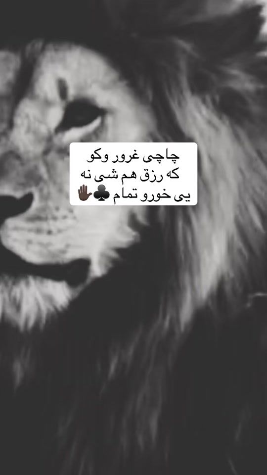 TikTok video thumbnail by a__l__i430