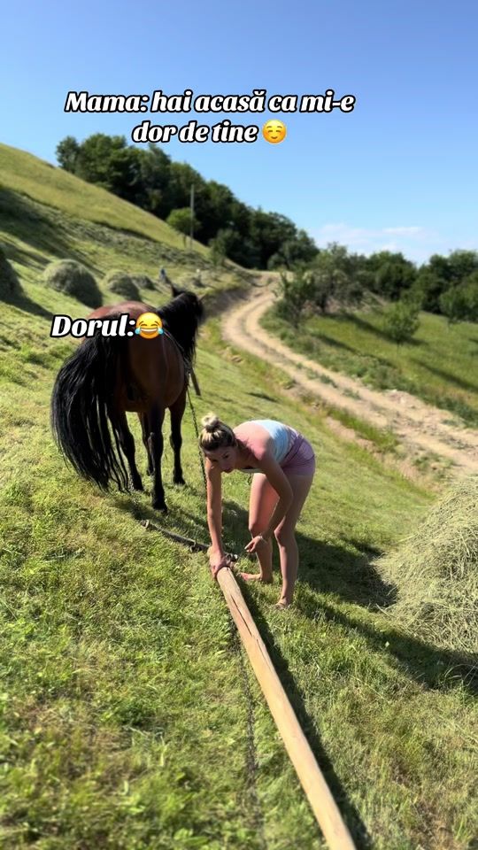 TikTok video thumbnail by ella_bela02