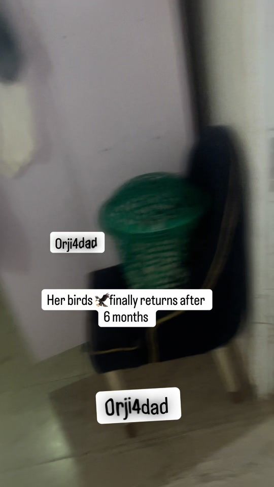TikTok video thumbnail by orji4dad
