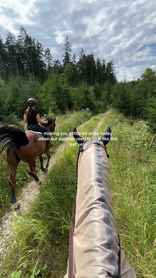 TikTok video thumbnail by annika.bc