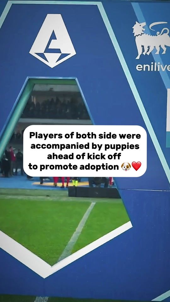 TikTok video thumbnail by seriea