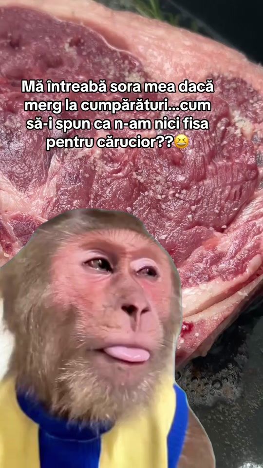 TikTok video thumbnail by monalisammnl