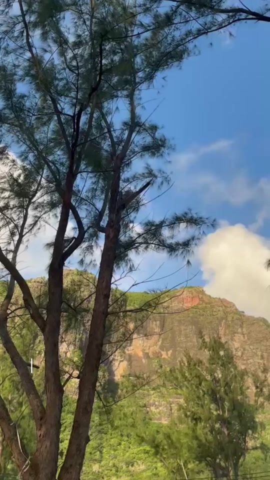 TikTok video thumbnail by path_in_quiet