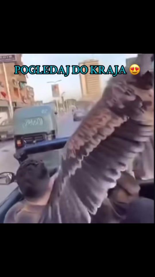 TikTok video thumbnail by semko.1788