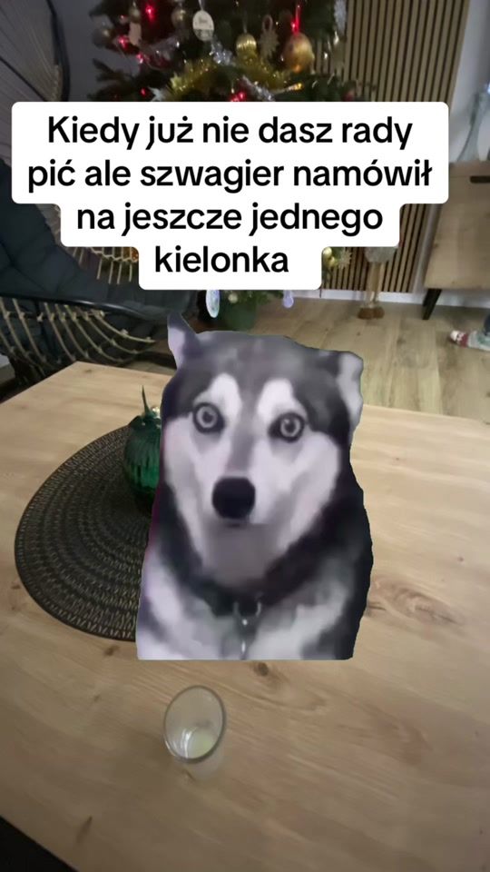 TikTok video thumbnail by czmieel