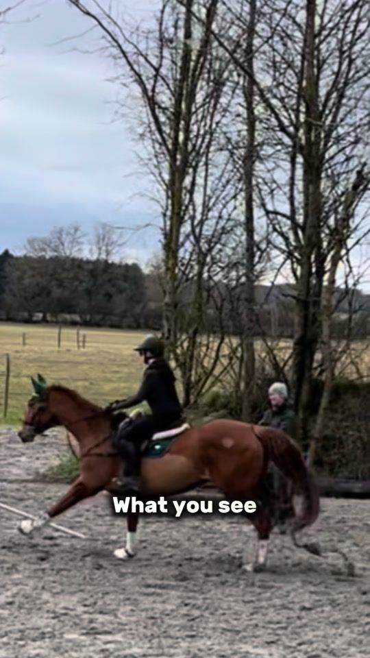 TikTok video thumbnail by showjumper1