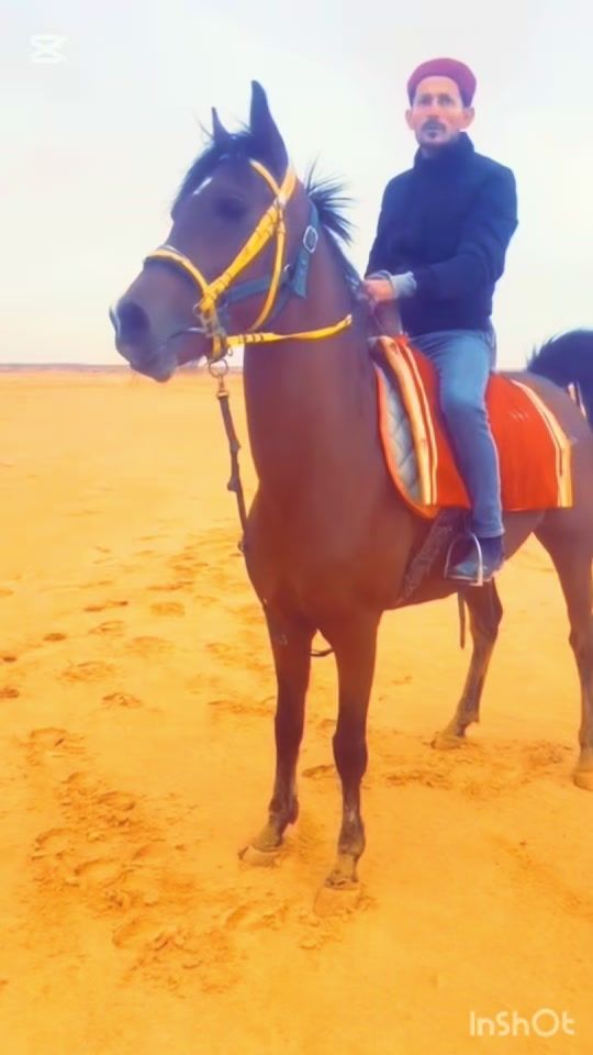 TikTok video thumbnail by mhamdi.ridha0