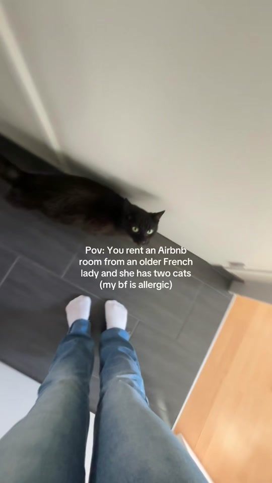 TikTok video thumbnail by livelalle