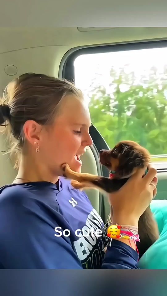 TikTok video thumbnail by funny.animals4855