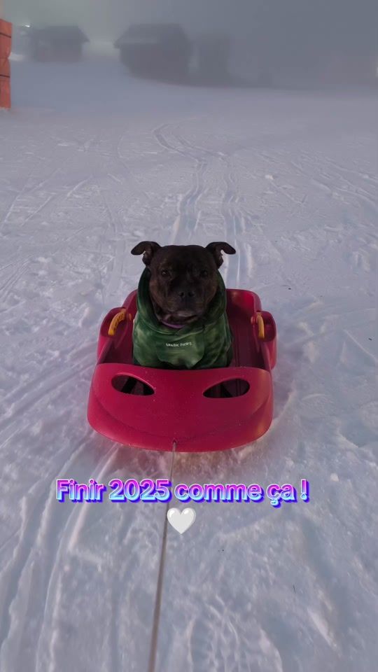 TikTok video thumbnail by noia.staffy