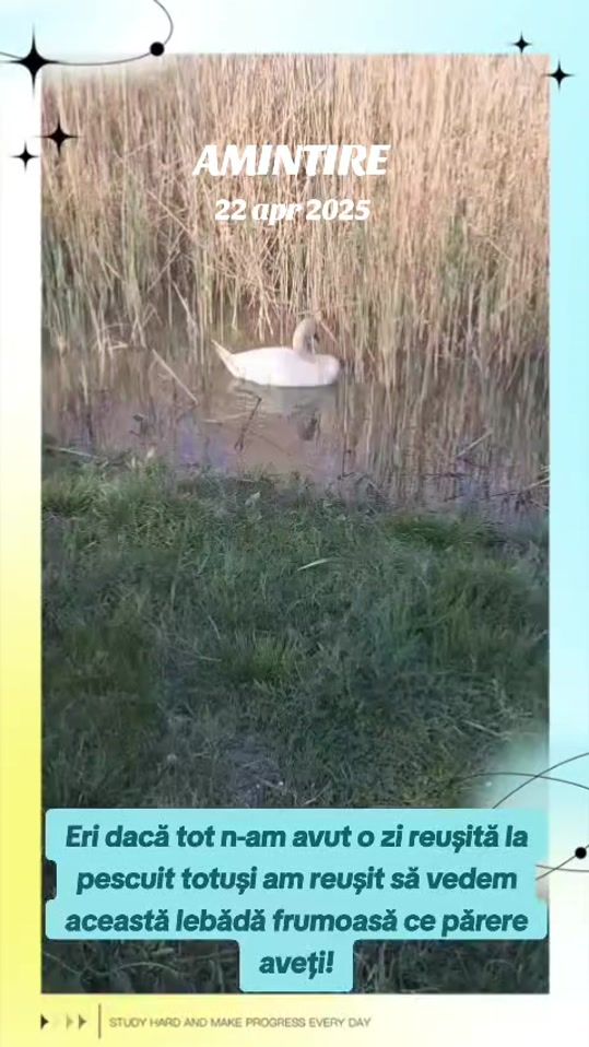 TikTok video thumbnail by david.pui.de.leu