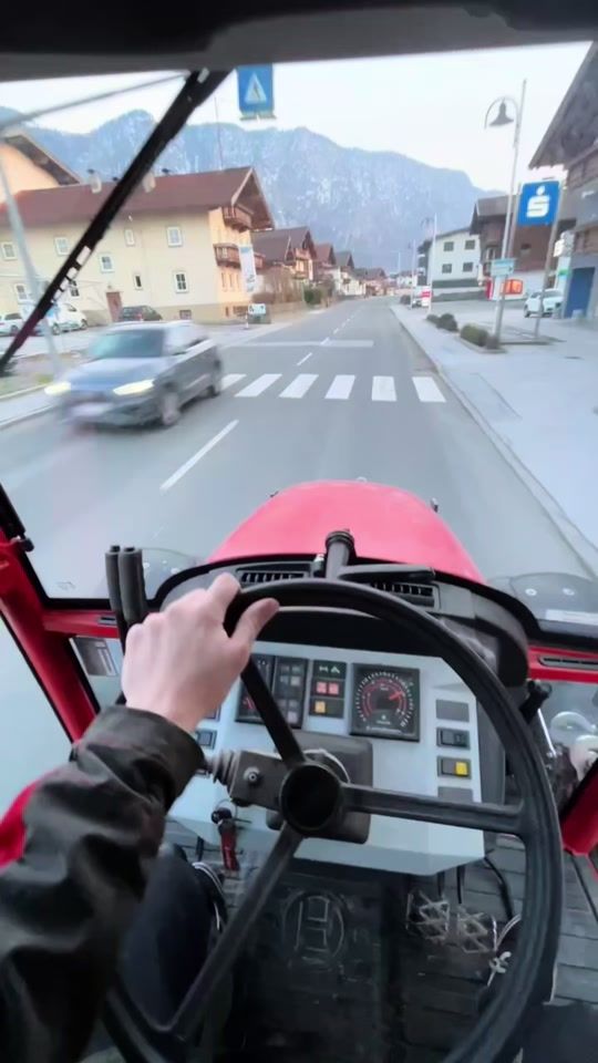 TikTok video thumbnail by steyrfohra_8060