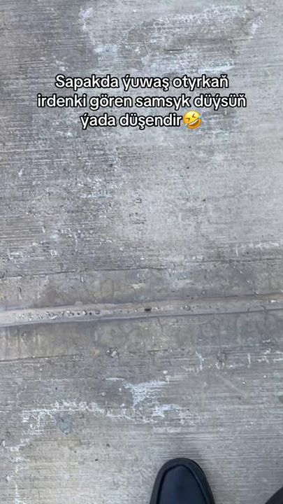 TikTok video thumbnail by atayev_381
