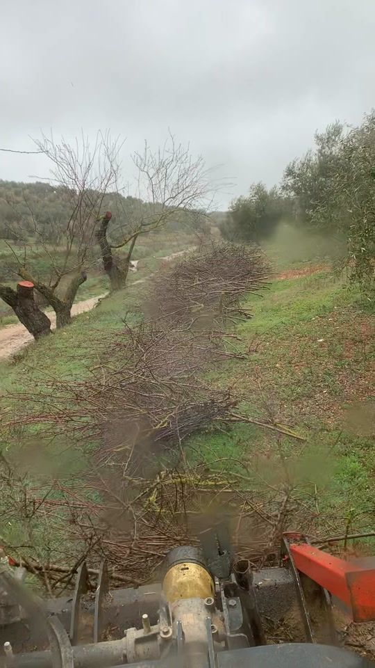 TikTok video thumbnail by torerojj