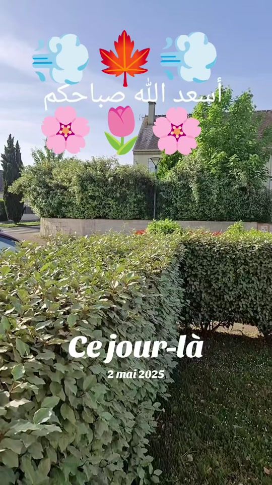 TikTok video thumbnail by khadijamimi6655