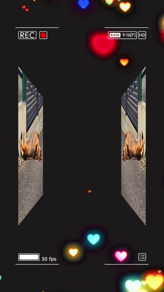 TikTok video thumbnail by engelchenbengelchen1