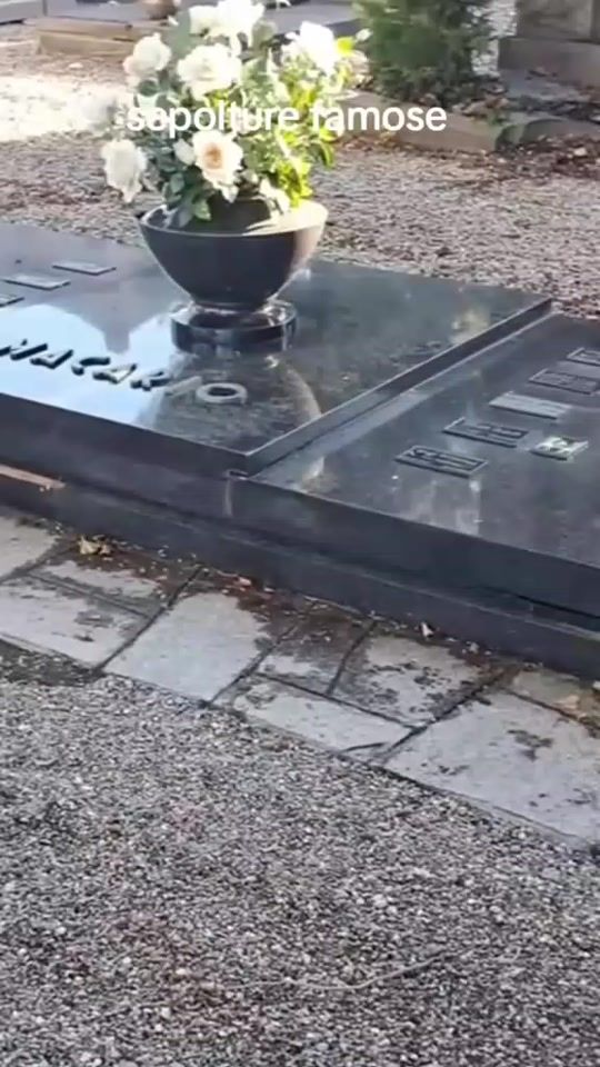 TikTok video thumbnail by alfiotrichini