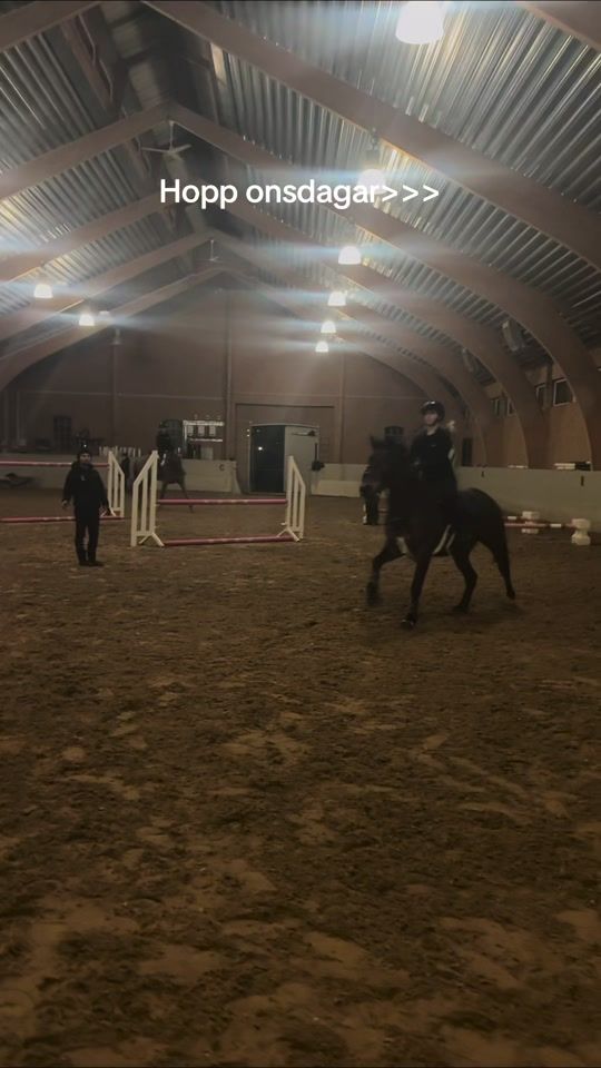 TikTok video thumbnail by selma_och_moonlight
