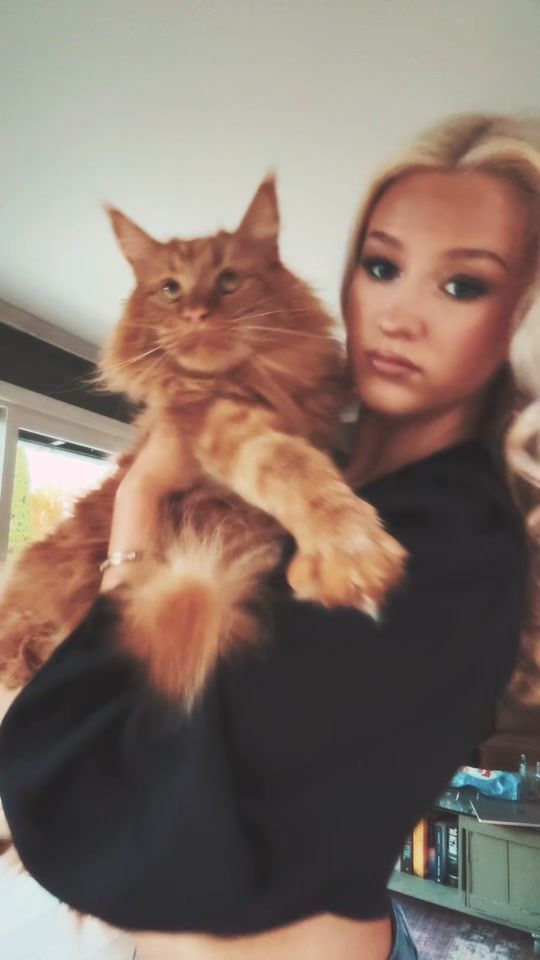 TikTok video thumbnail by lena.hansenn