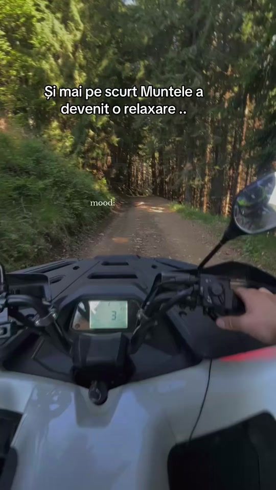 TikTok video thumbnail by mdlin.2322